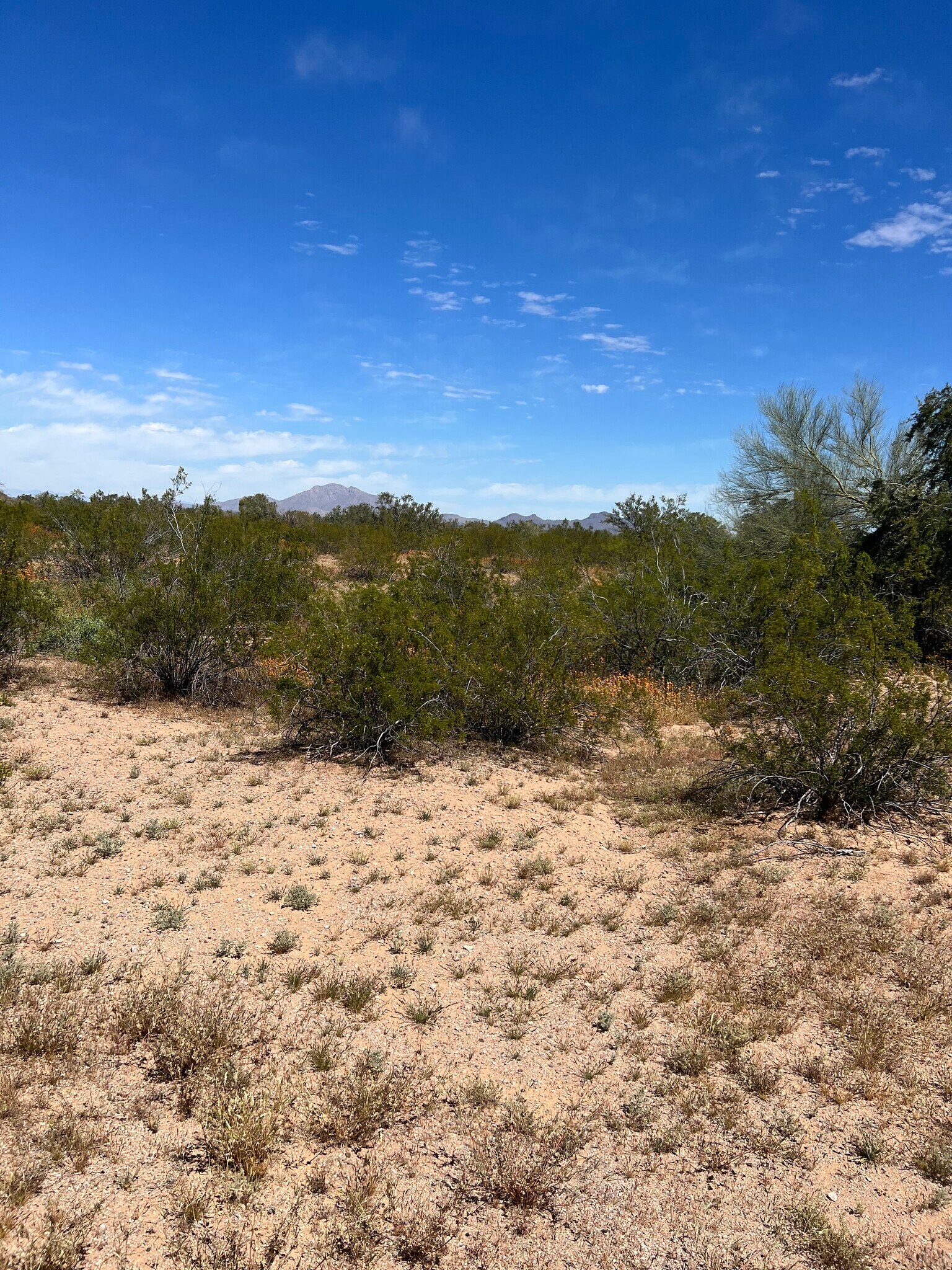 No Number Undeveloped Land, Eloy, AZ for sale Other- Image 1 of 1