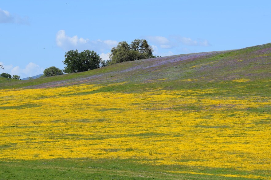 68490 Pancho Rico Rd, San Ardo, CA 93450