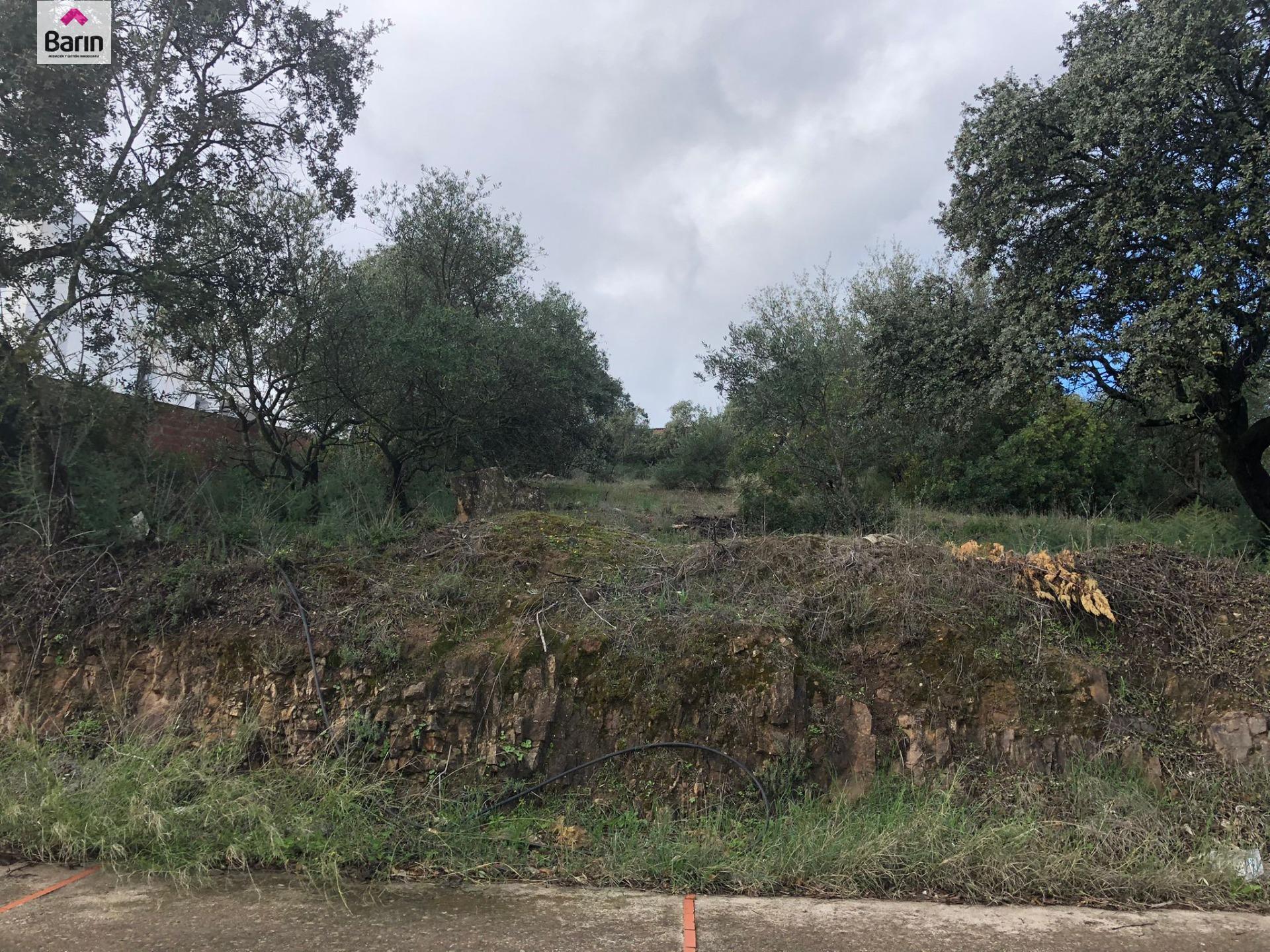 Land in Córdoba, Córdoba for sale Building Photo- Image 1 of 5