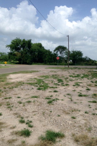 613 N Tower Rd, Alamo, TX for sale Primary Photo- Image 1 of 1