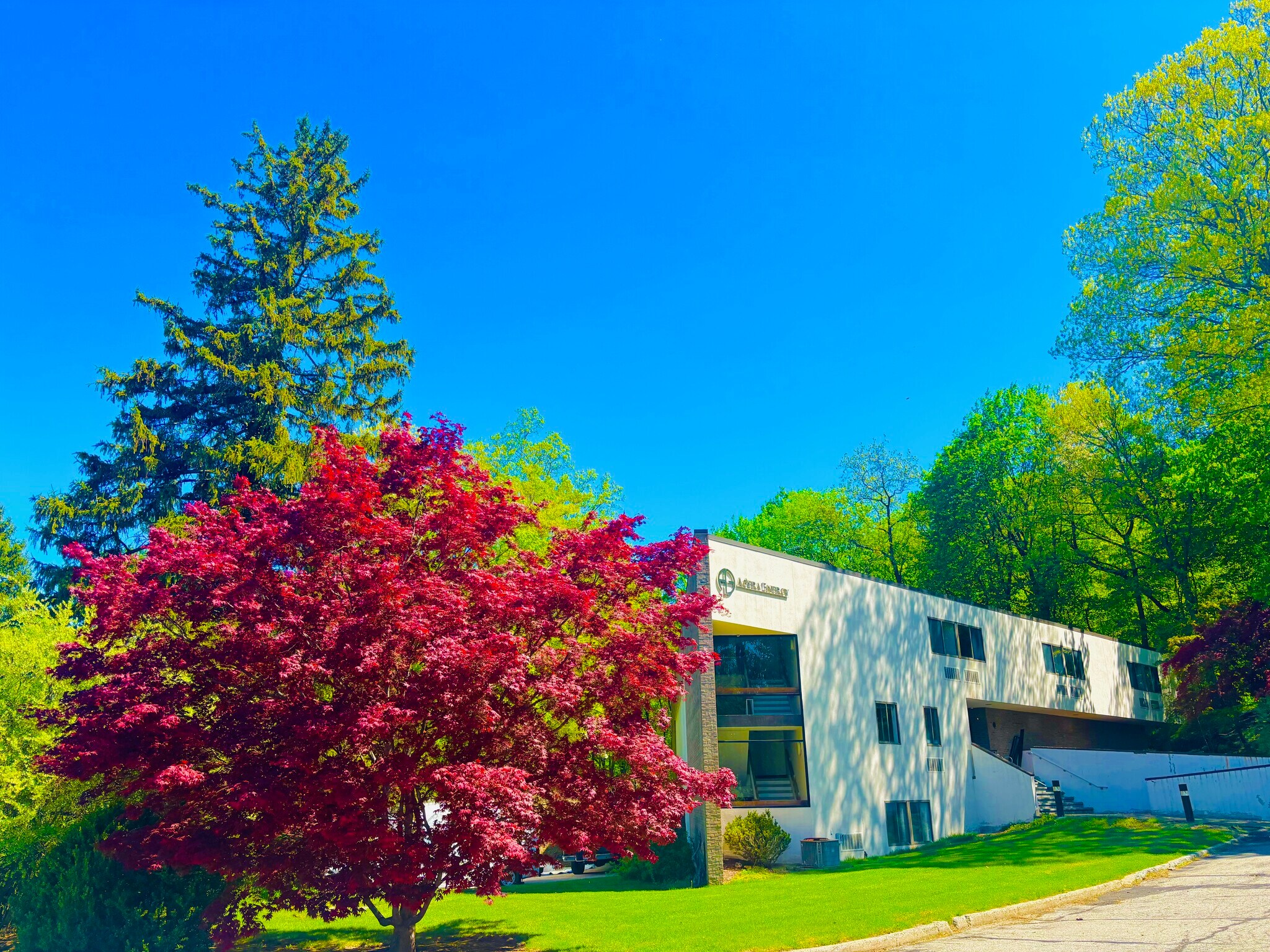 555 Pleasantville Rd, Briarcliff Manor Village, NY for lease Building Photo- Image 1 of 6