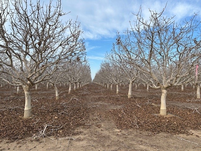 Bassett Ave, Delano, CA for sale - Building Photo - Image 3 of 6