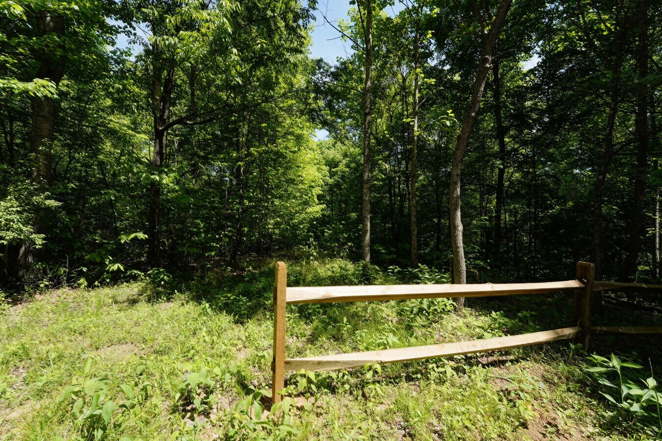 View Photo
