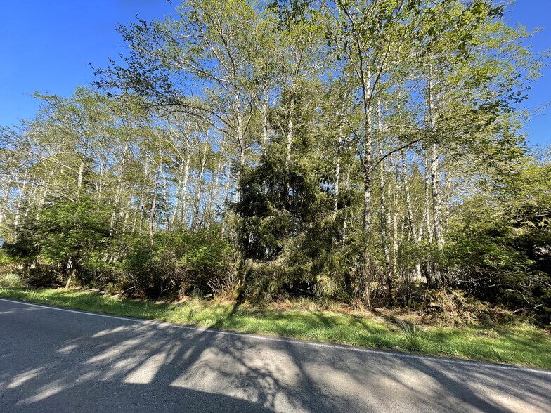 242 Duck Lake Dr, Ocean Shores, WA 98569