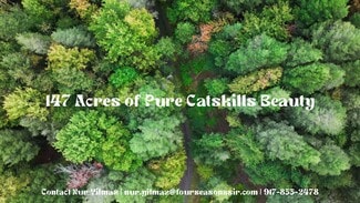 More details for 480 Breezy Hill Rd, Parksville, NY - Land for Sale