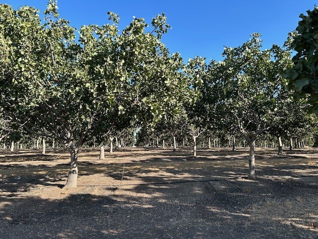 Avenue 70, Terra Bella, CA for sale - Building Photo - Image 3 of 12