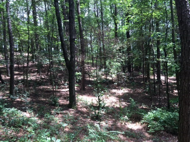 Hook Rd, Ranger, GA for sale Building Photo- Image 1 of 1