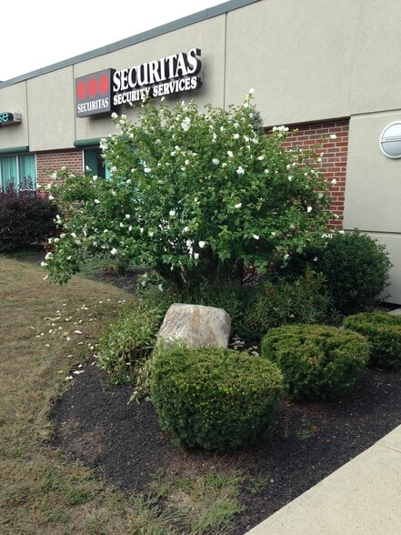 60 Concord St, Wilmington, MA for lease - Building Photo - Image 2 of 8