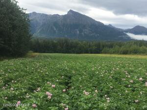 24220 E Bannon Way, Sutton, AK for sale Primary Photo- Image 1 of 1