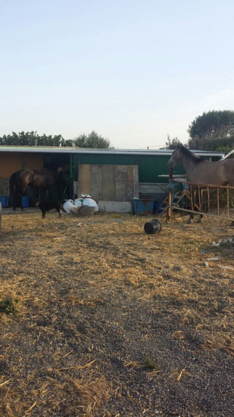 Land in San Roque for sale Building Photo- Image 1 of 12