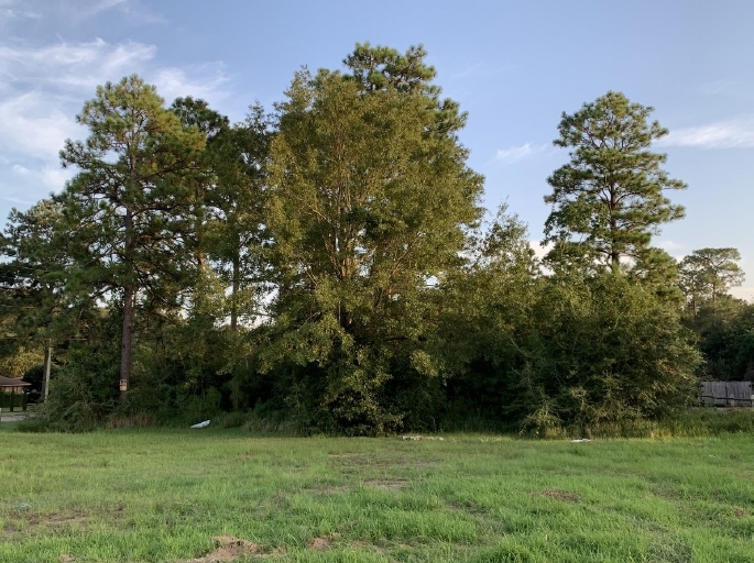 0 Cottage Hill Rd, Mobile, AL for sale - Primary Photo - Image 1 of 1