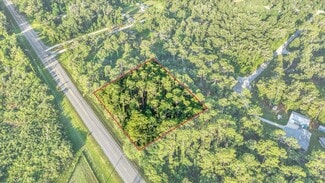 More details for US Hwy 301/Treiman Boulevard Blvd, Webster, FL - Land for Sale