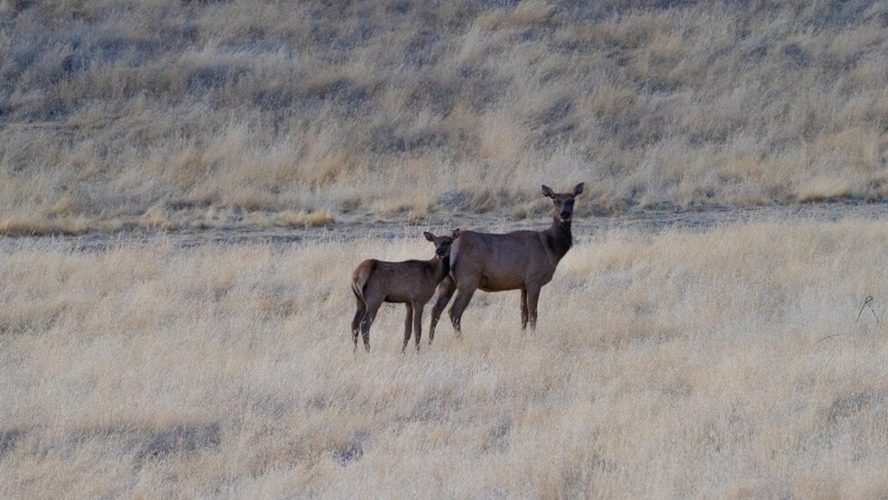 47069 Crump Ln, Coalinga, CA for sale - Building Photo - Image 3 of 13