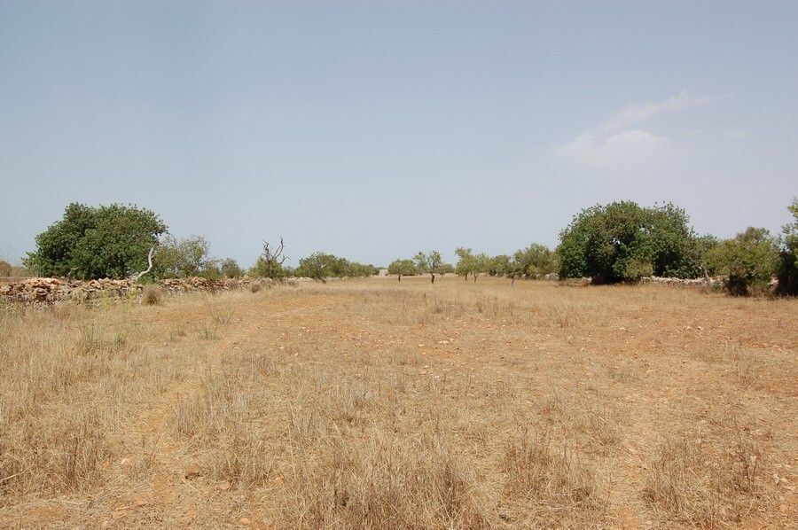 Land in Santanyí, Islas Baleares for sale Building Photo- Image 1 of 12