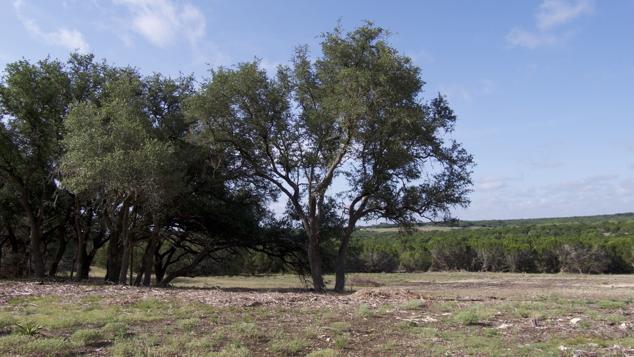S Rocky Creek Trl, Lampasas, TX for sale Building Photo- Image 1 of 1