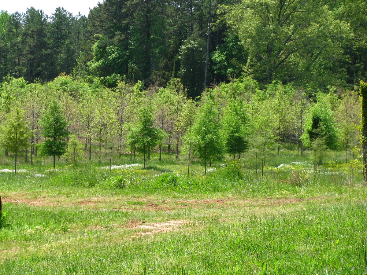 622 Faith Rd, Mooresville, NC 28115