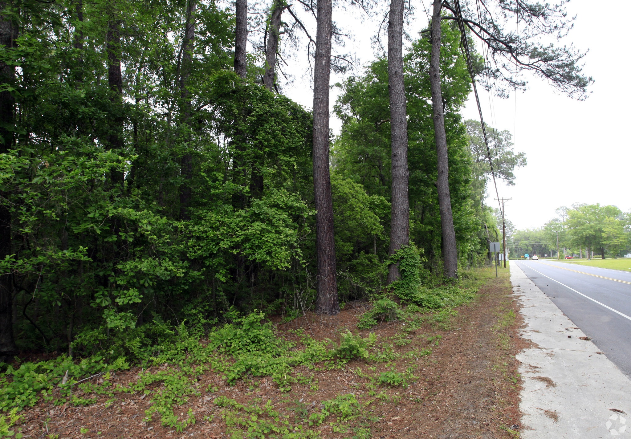 Grahamville Rd, Ridgeland, SC for sale Primary Photo- Image 1 of 1