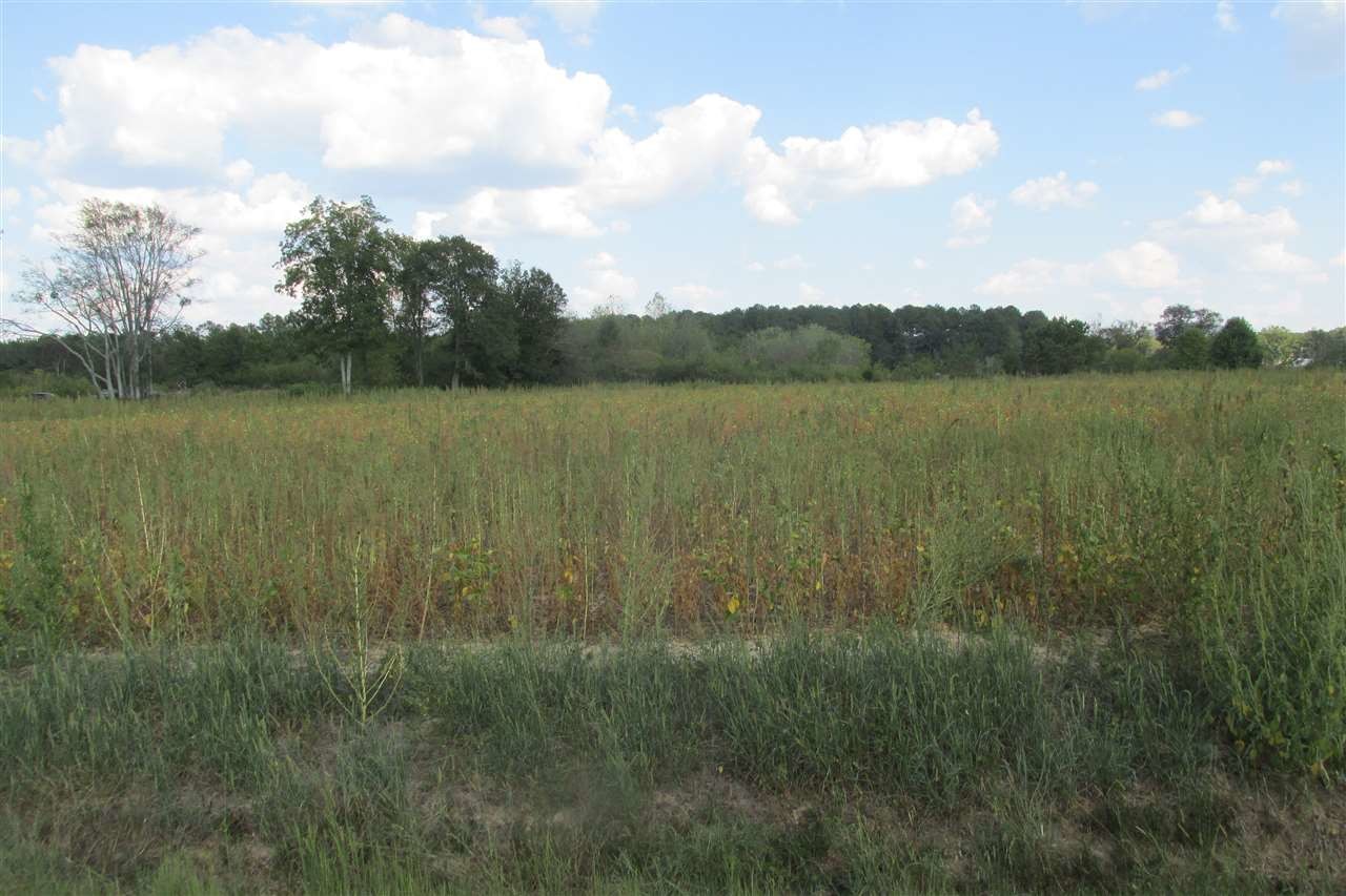 009 Hwy 431, Owens Cross Roads, AL for sale Other- Image 1 of 1