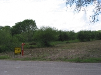 Rancho Blanco Rd & Tower Rd, Alamo, TX for sale - Primary Photo - Image 1 of 1