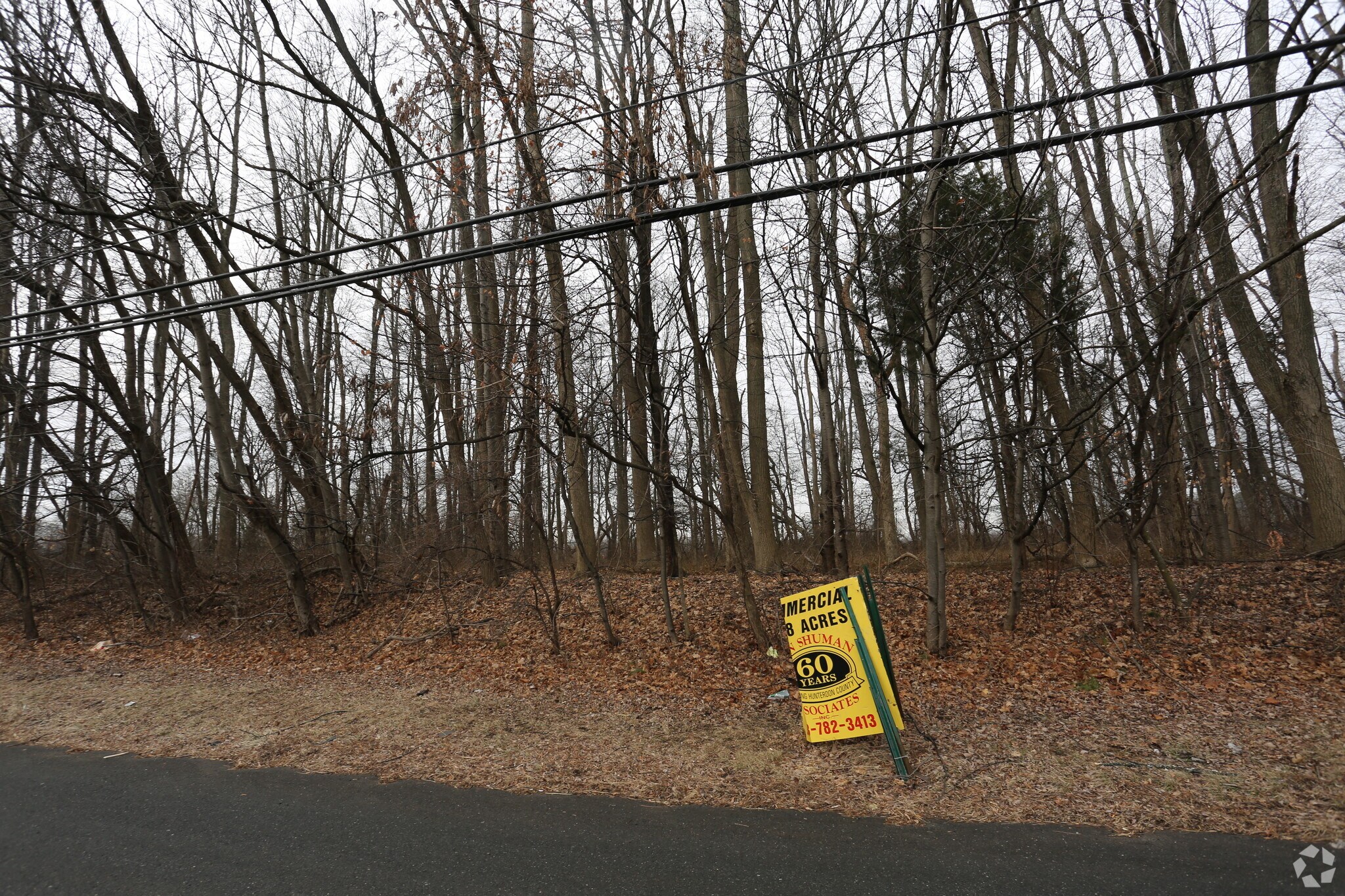 145 US-202, Ringoes, NJ for sale Primary Photo- Image 1 of 1