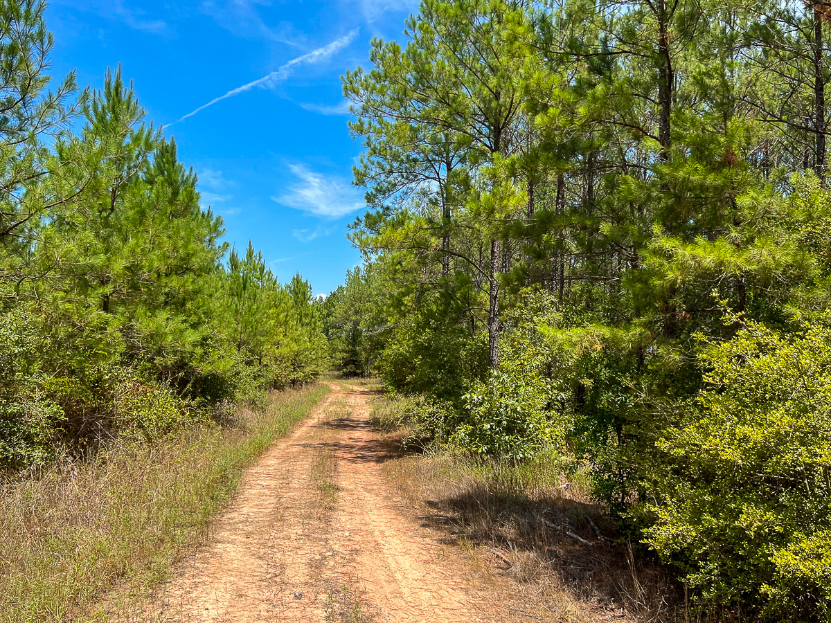 Off Lost Indian Camp Road, Huntsville, TX for sale Other- Image 1 of 1