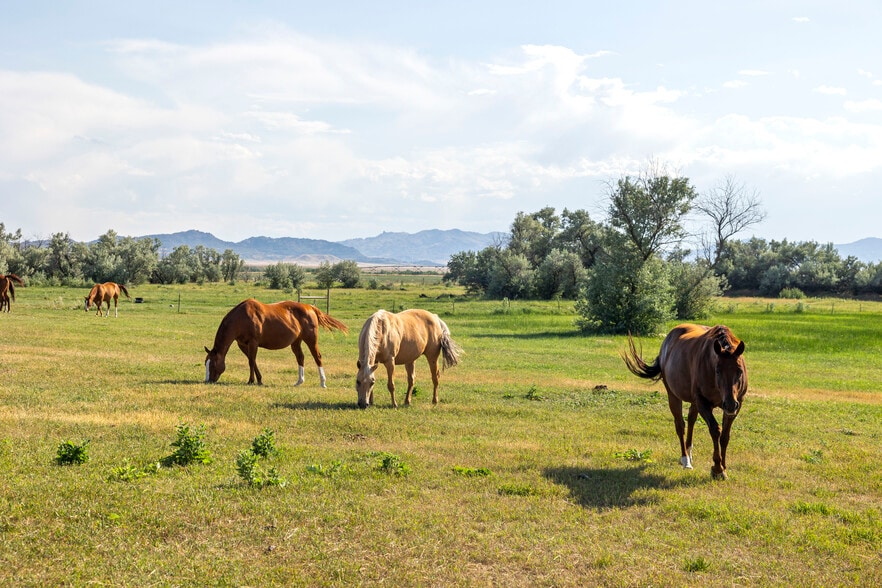 20 Sybille Creek Rd, Wheatland, WY for sale - Building Photo - Image 2 of 15