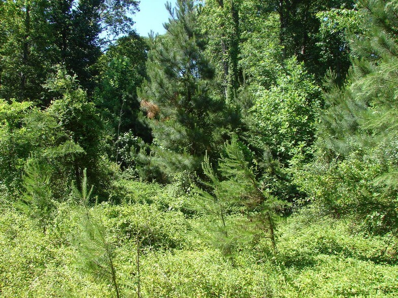 172 Shiloh Unity Rd, Lancaster, SC 29720