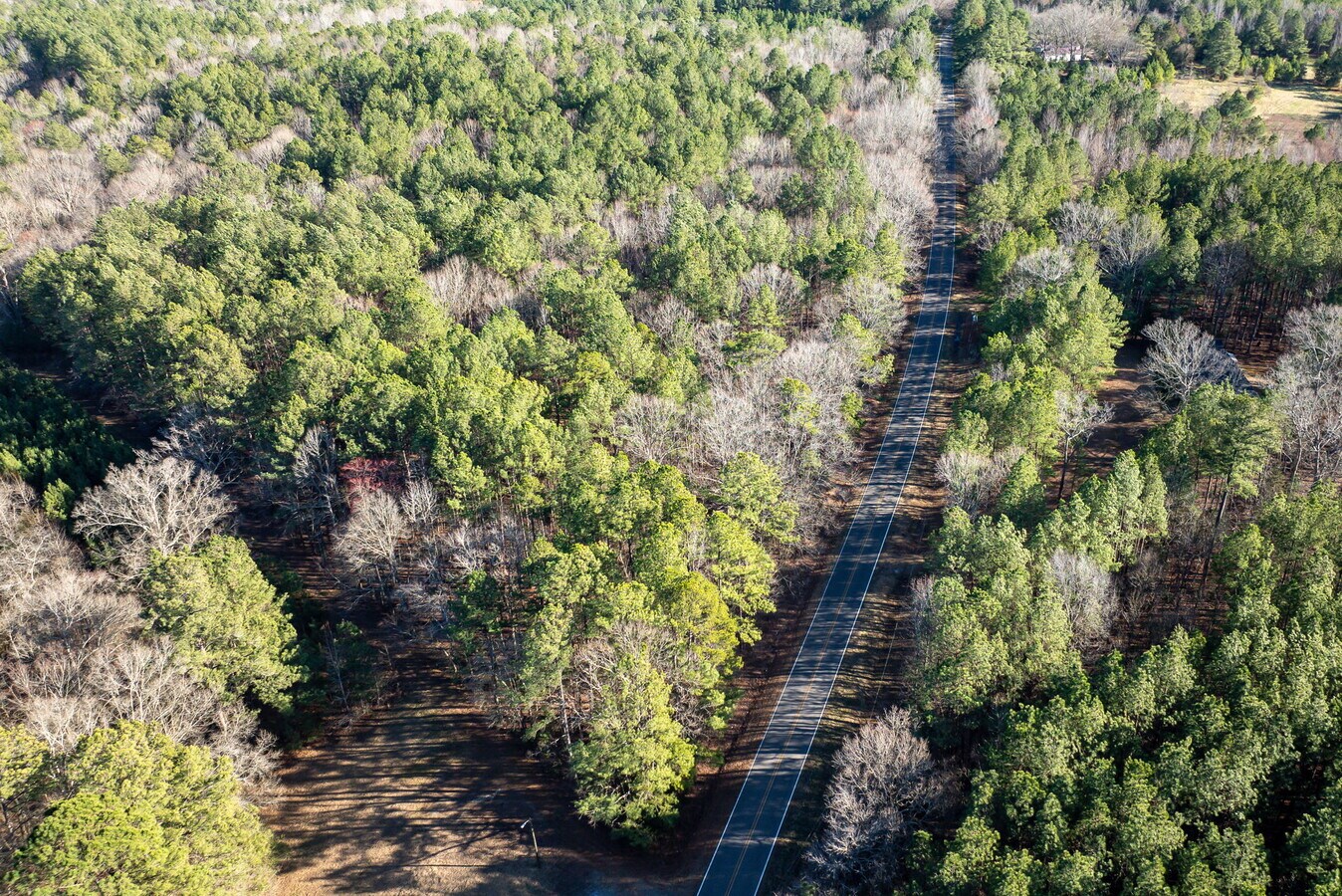 St Luke Church Rd, Goldston, NC 27252 Land for Sale