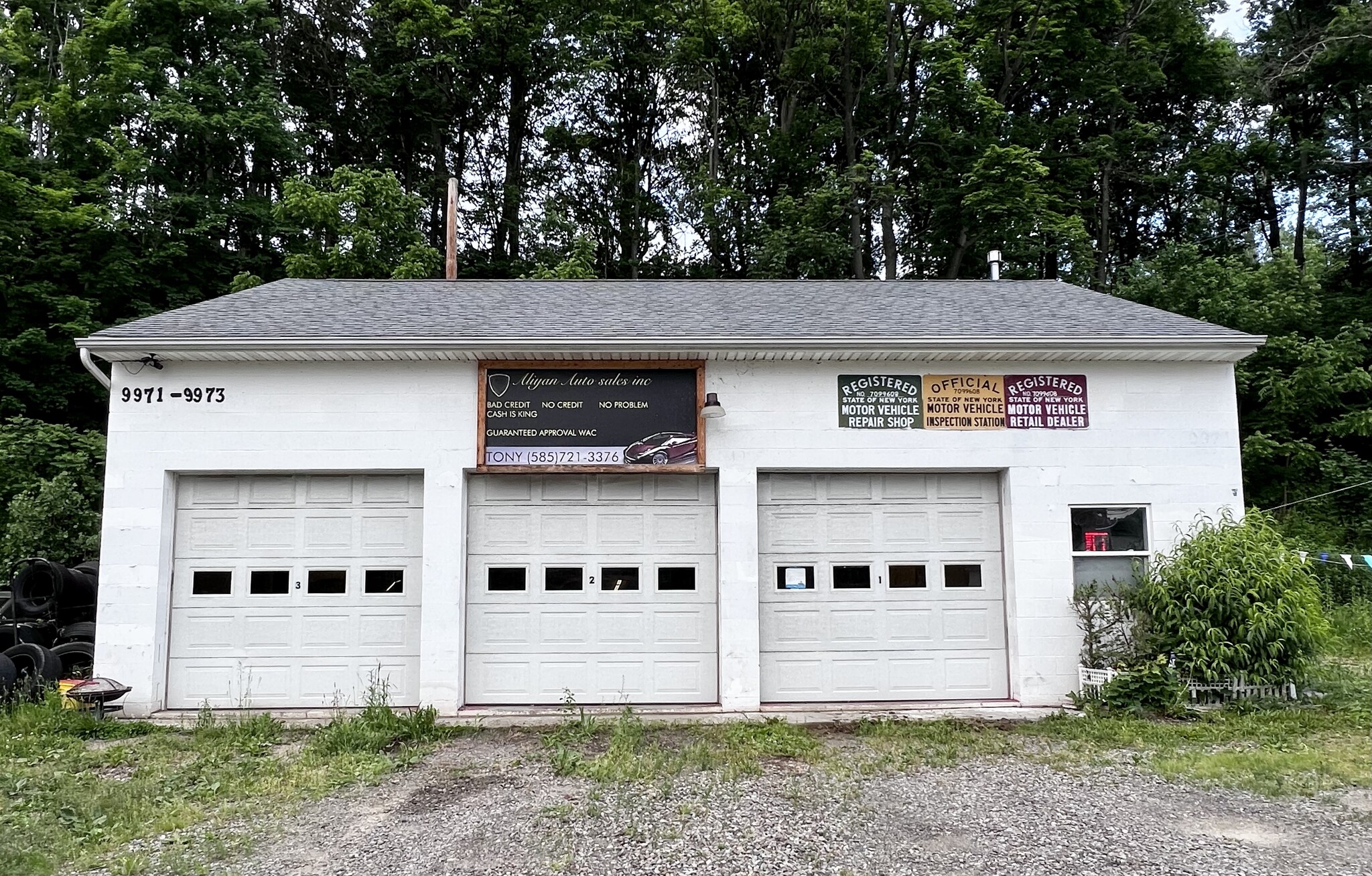 9971 Main St, Dansville, NY for sale Building Photo- Image 1 of 1