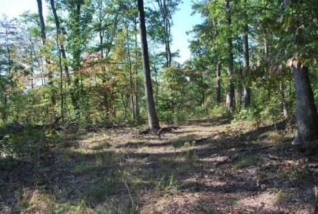 0 Benedict Rd, Culloden, WV for sale Primary Photo- Image 1 of 1