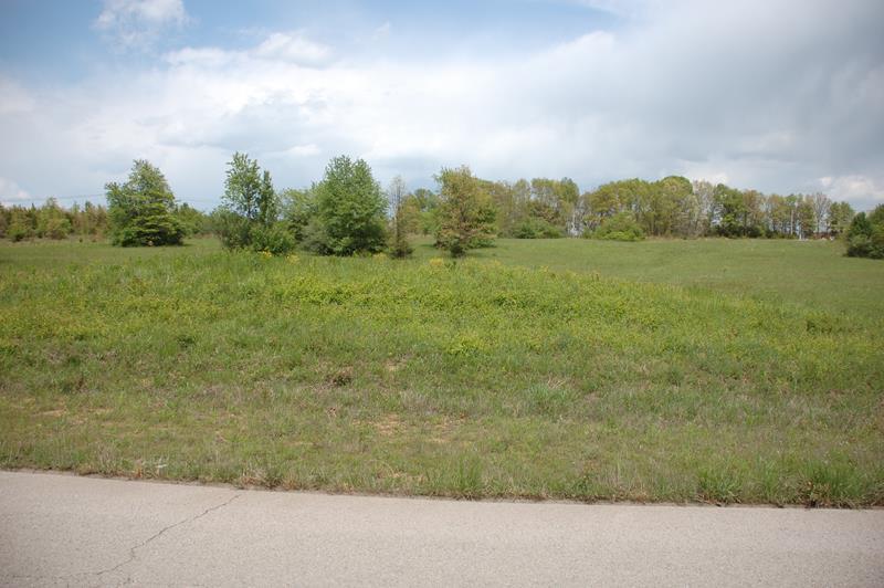 000 Goodhard, West Plains, MO for sale - Building Photo - Image 3 of 10