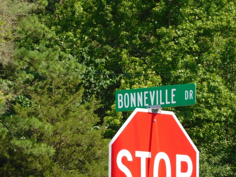 103 Bonnieville Dr, Calera, AL for sale - Other - Image 3 of 3