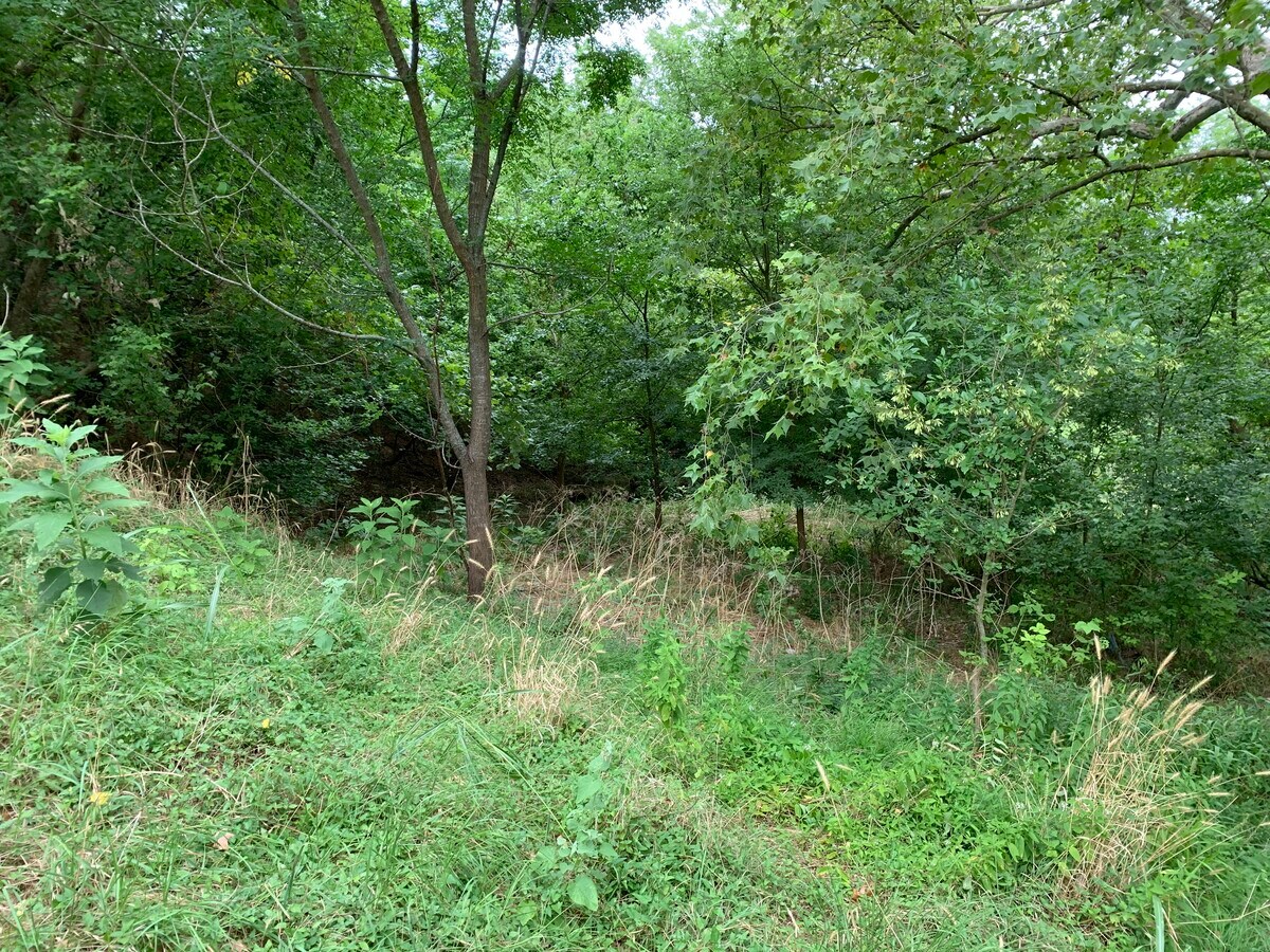 1345 River Terrace, New Braunfels, TX 78130