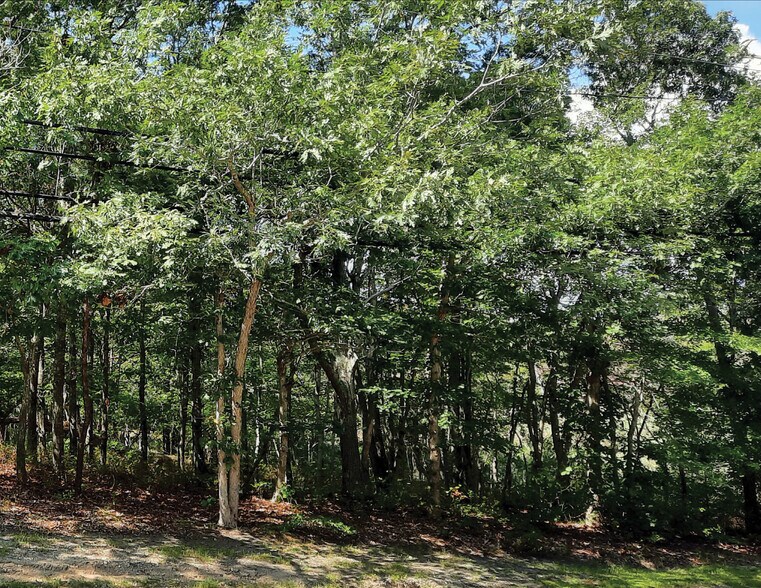 149 Montauk Hwy, Quogue, NY for sale - Other - Image 3 of 3