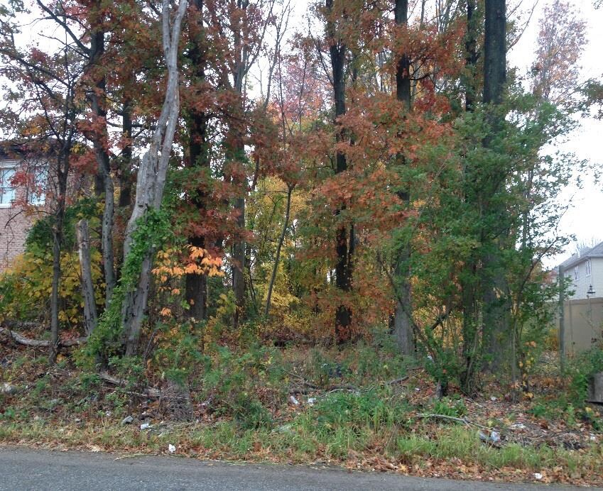 Huguenot Ave, Staten Island, NY 10312