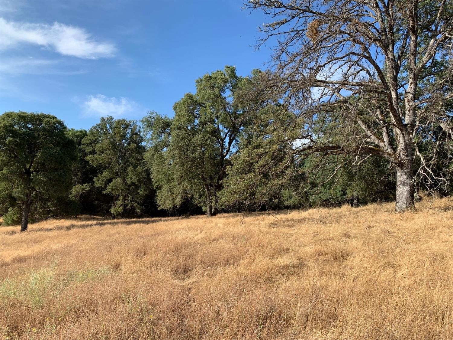 2146 Rabbit Ridge Rd, Mount Aukum, CA for sale Primary Photo- Image 1 of 1