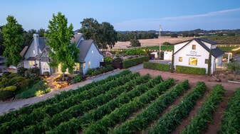 10786 Shenandoah Rd, Plymouth CA - Vineyard