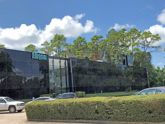 More details for 25227 Grogans Mill Rd, The Woodlands, TX - Office/Medical for Lease