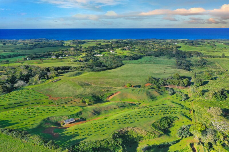 Kapuna Rd, Kilauea, HI 96754 Keala Ranch