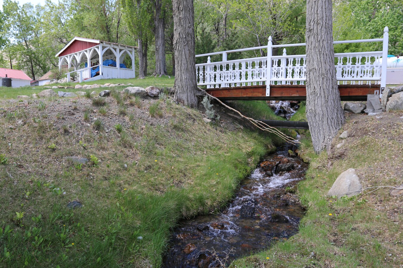 View Photo
