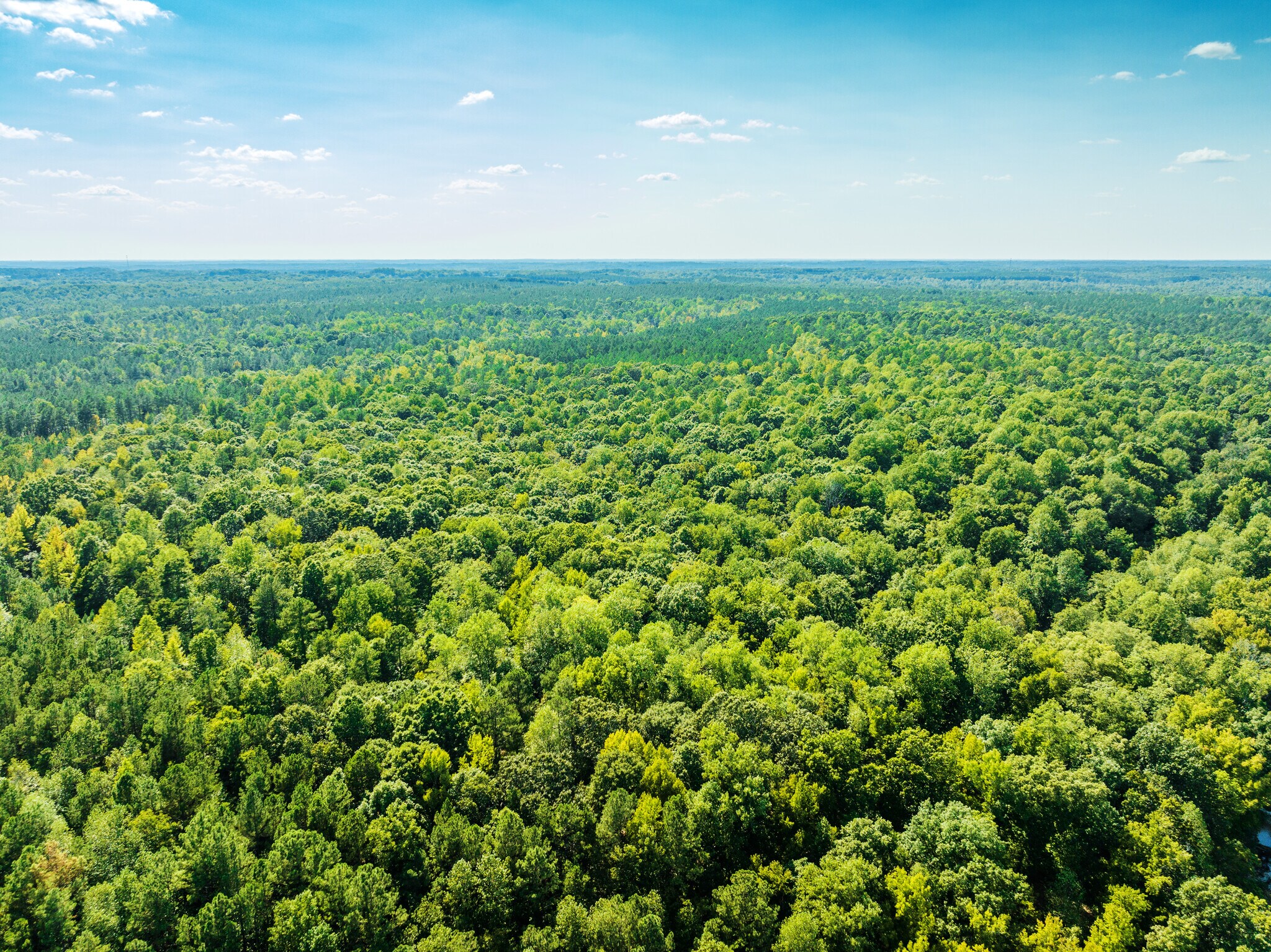 Catawba River Rd, Catawba, SC 29704 Land for Sale