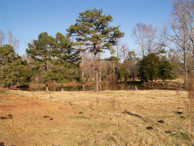 4700 Catawba River Rd, Catawba, SC for sale Primary Photo- Image 1 of 1