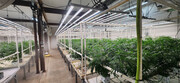 Turnkey Recreational Cultivation-Battle Creek - Cannabis Warehouse