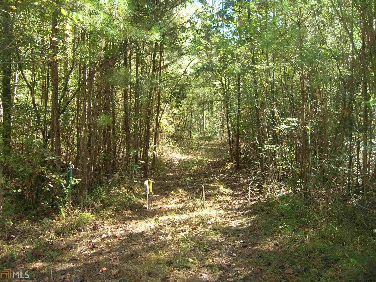 0 Cashtown Rd, Bremen, GA 30110