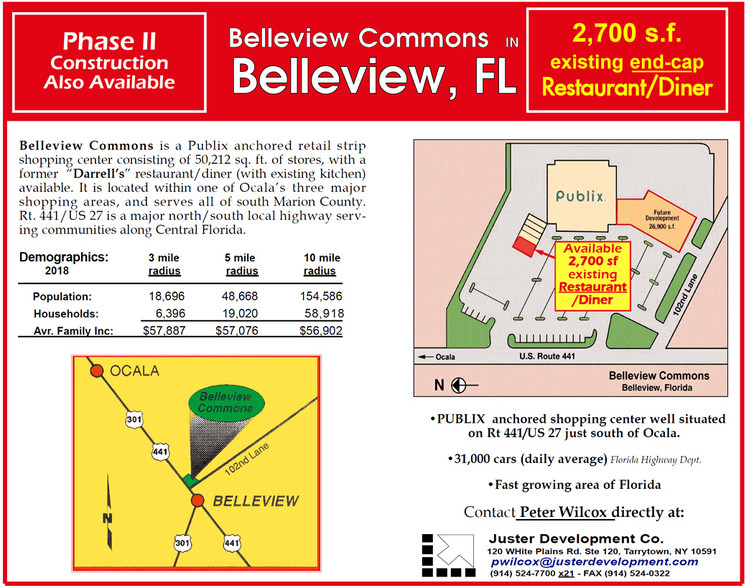 10133 SE US Highway 441, Belleview, FL for sale - Building Photo - Image 1 of 1