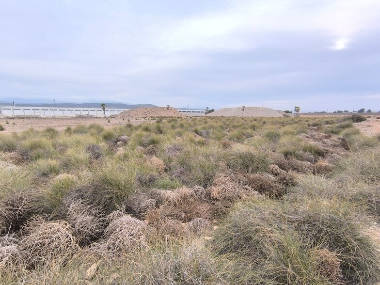 Land in MURCIA for sale - Building Photo - Image 2 of 8