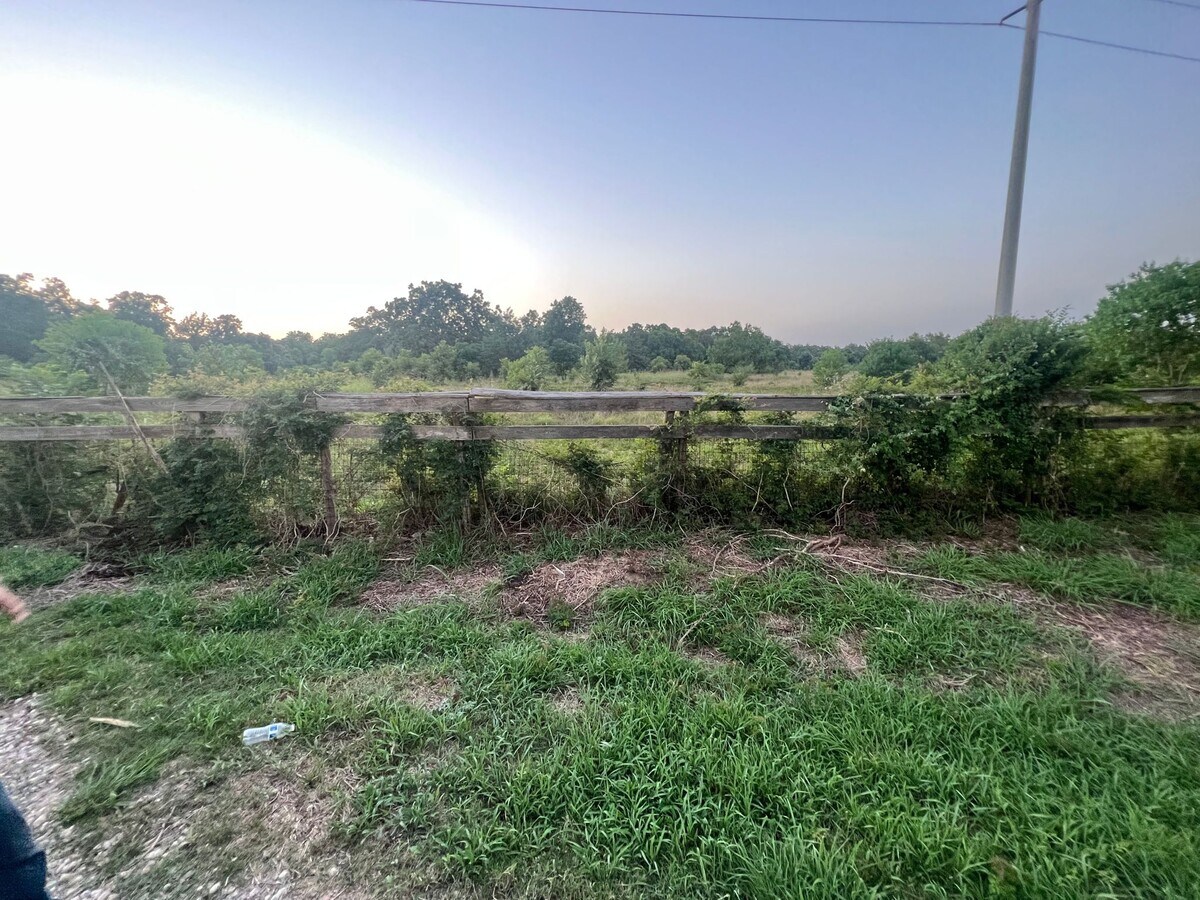 View Photo