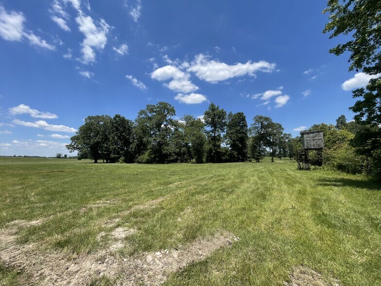 Raspberry Street & 69 hwy, Gallion, AL for sale - Building Photo - Image 3 of 11