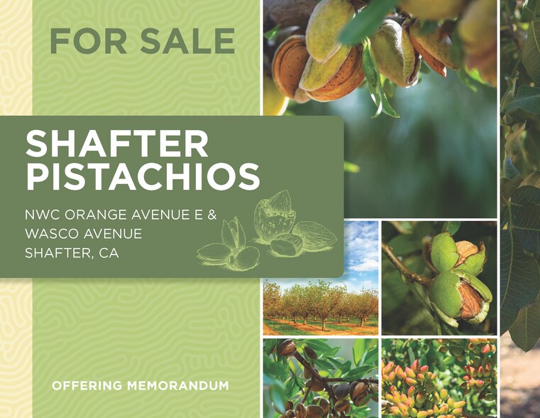 18497 Wasco Avenue, Shafter, CA 93263 Shafter Pistachios
