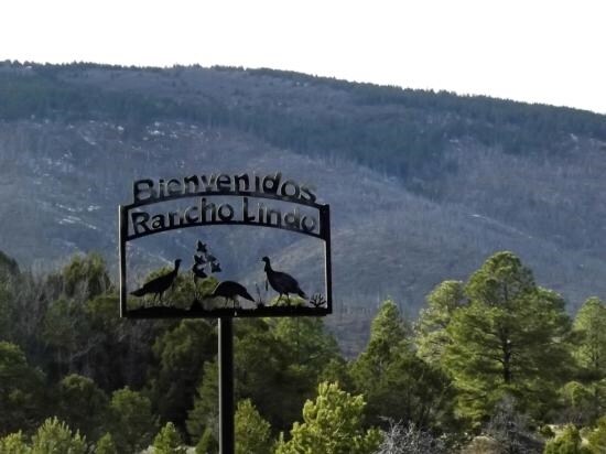 248 Los Penetos Rd, Torreon, NM for sale - Primary Photo - Image 1 of 4